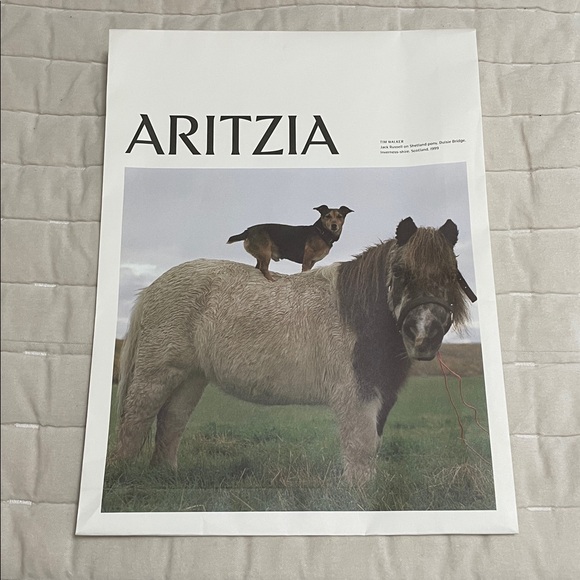 Aritzia Shopping and Packaging Bags Bundle - Picture 2 of 11
